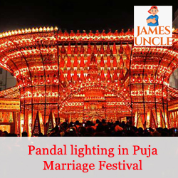 Pandal lighting in Puja Marriage Festival Mr. Aviram Ghosh in Raiganj